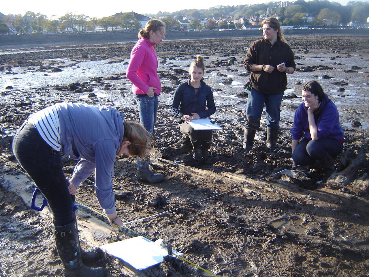 Carrying out an offset survey exercise on one of wrecks on the beach at the Mumbles
